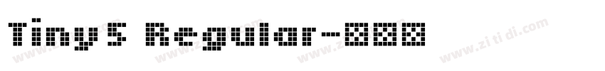 Tiny5 Regular字体转换